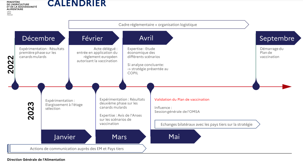 Calendrier grippe aviaire